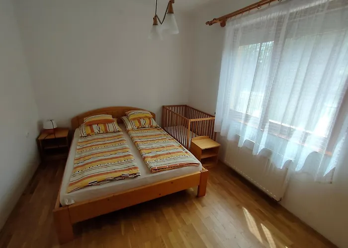 14 férőhelyes ház saját stéggel, játszótérrel Balatonfenyvesen vízparti utcában